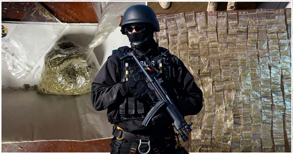 Povestea penală a unui tânăr din Satu Mare și a unei educatoare din Marea Britanie