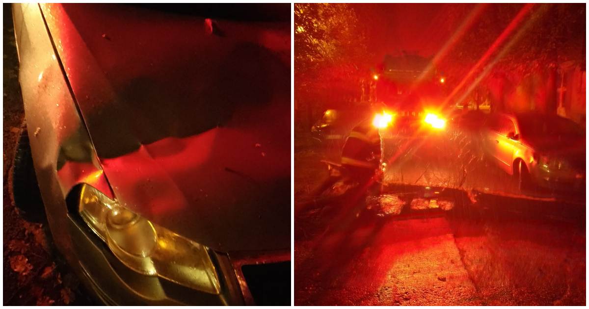 FOTO. Copac căzut pe carosabil, mașină avariată, în municipiul Satu Mare. Intervin pompierii