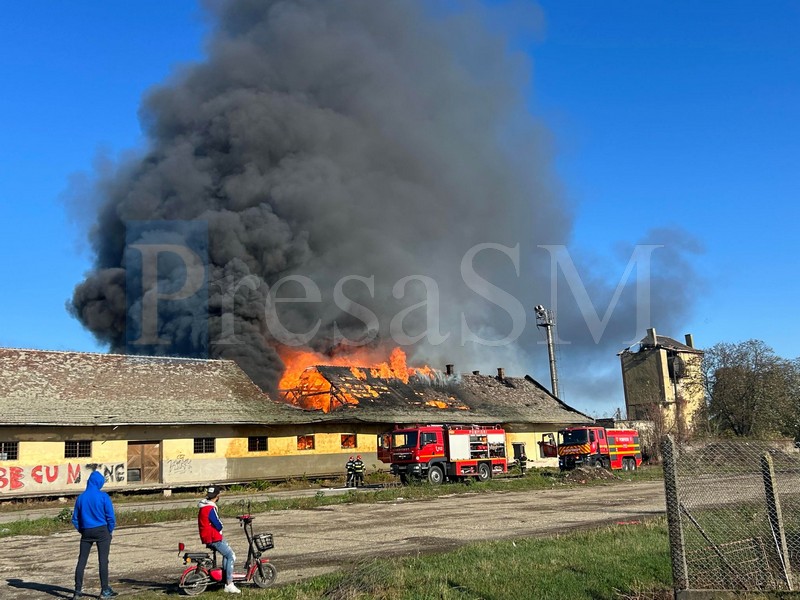 FOTO/VIDEO. Incendiu uriaș la Gara CFR din Carei. Arde masiv un depozit