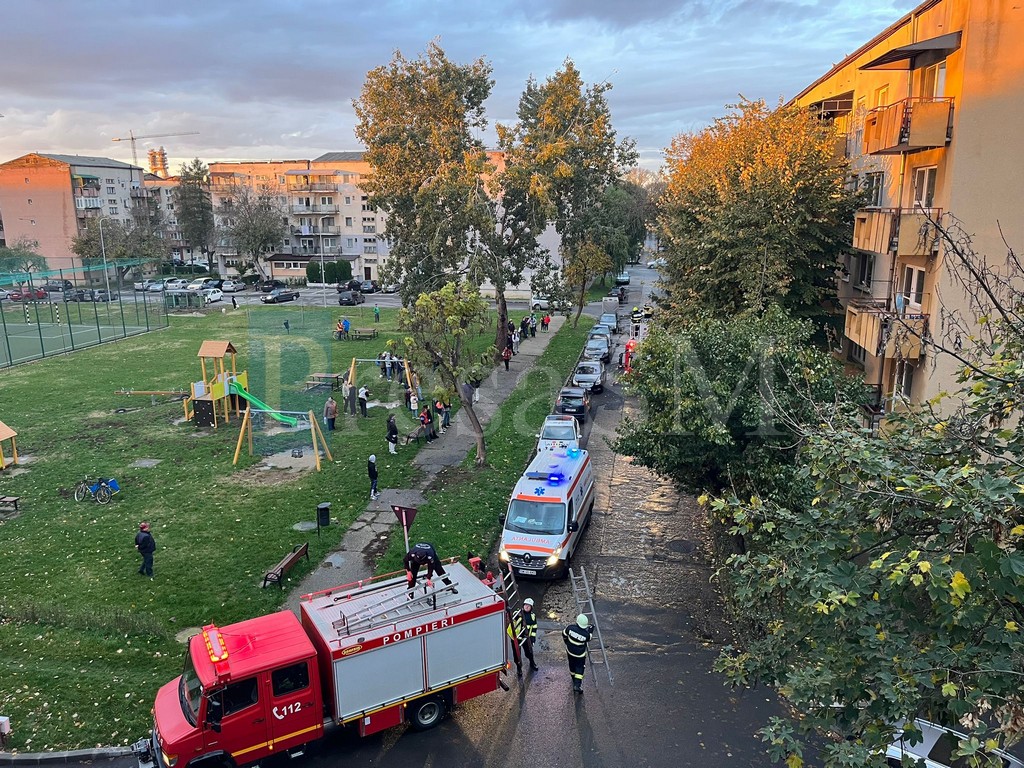 FOTO/VIDEO. Mobilizare de forțe în Cartierul Micro 17 din Satu Mare. Femeie agresată în apartament