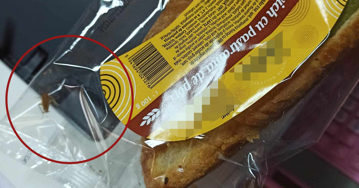 FOTO/VIDEO. Surpriză neplăcută pentru un sătmărean, la mic dejun: Sandwich cu gândac sau plastic