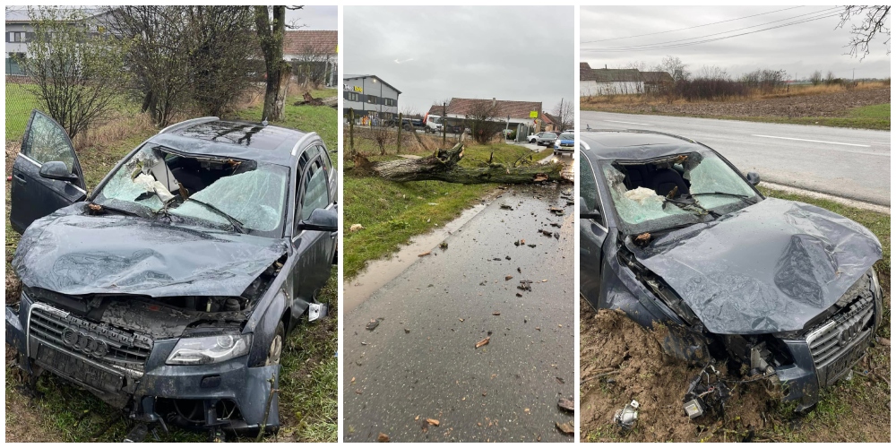 FOTO. Copac căzut peste o mașină aflată în mers. Șofer: ”Cumplit, cum am fost eu, putea fi altul.