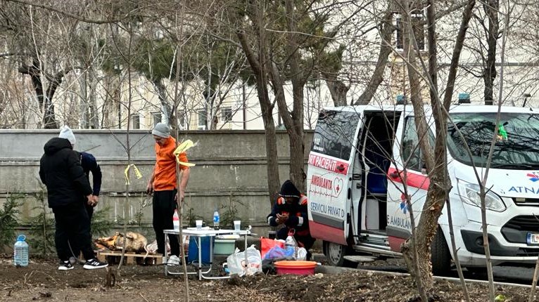 FOTO. Doi purcei descărcați dintr-o ambulanță și sacrificați și tranșați într-un parc de lângă primărie