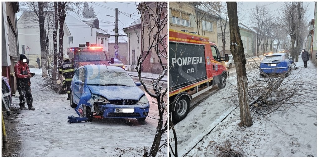 FOTO. Accident în Satu Mare. O femeie a spulberat un copac cu mașina. Aproape să lovească casa