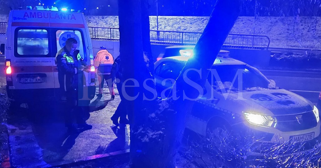 FOTO. Femeie violentă încătușată de Poliție în centrul municipiului Satu Mare