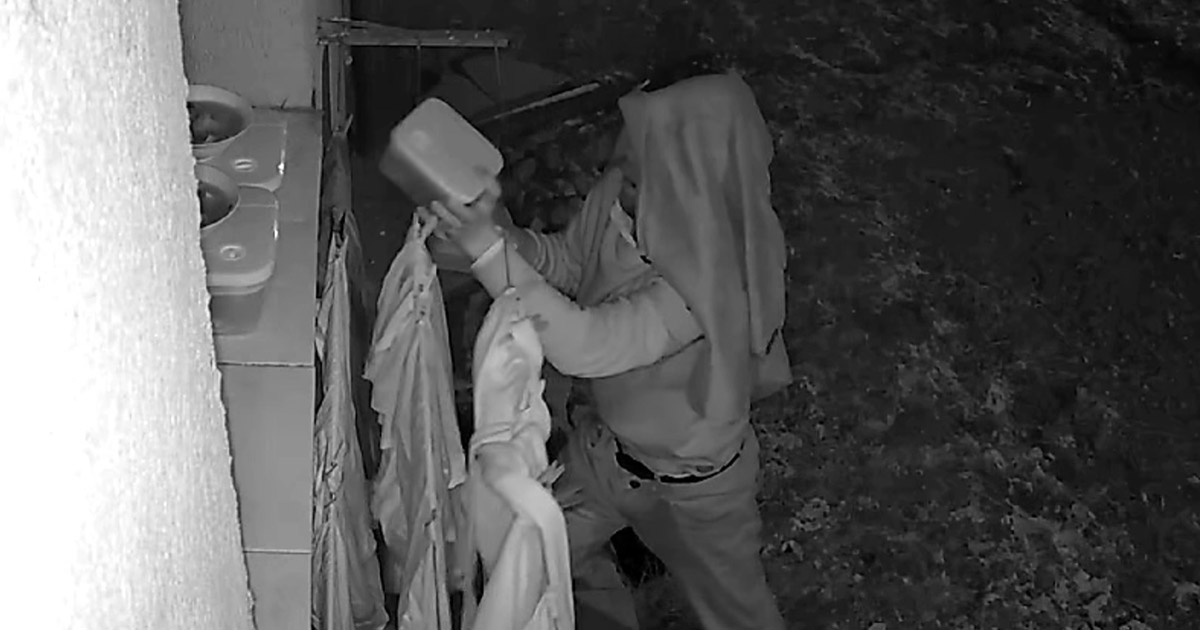 VIDEO. Se întâmplă în România. Bărbat filmat în timp ce fură caserolele cu sarmale și piftie