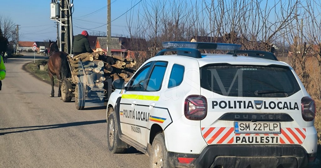 Polițiștii sătmăreni, cu ochii pe hoții de lemne. Controalele s-au lăsat cu amenzi și lemn confiscat
