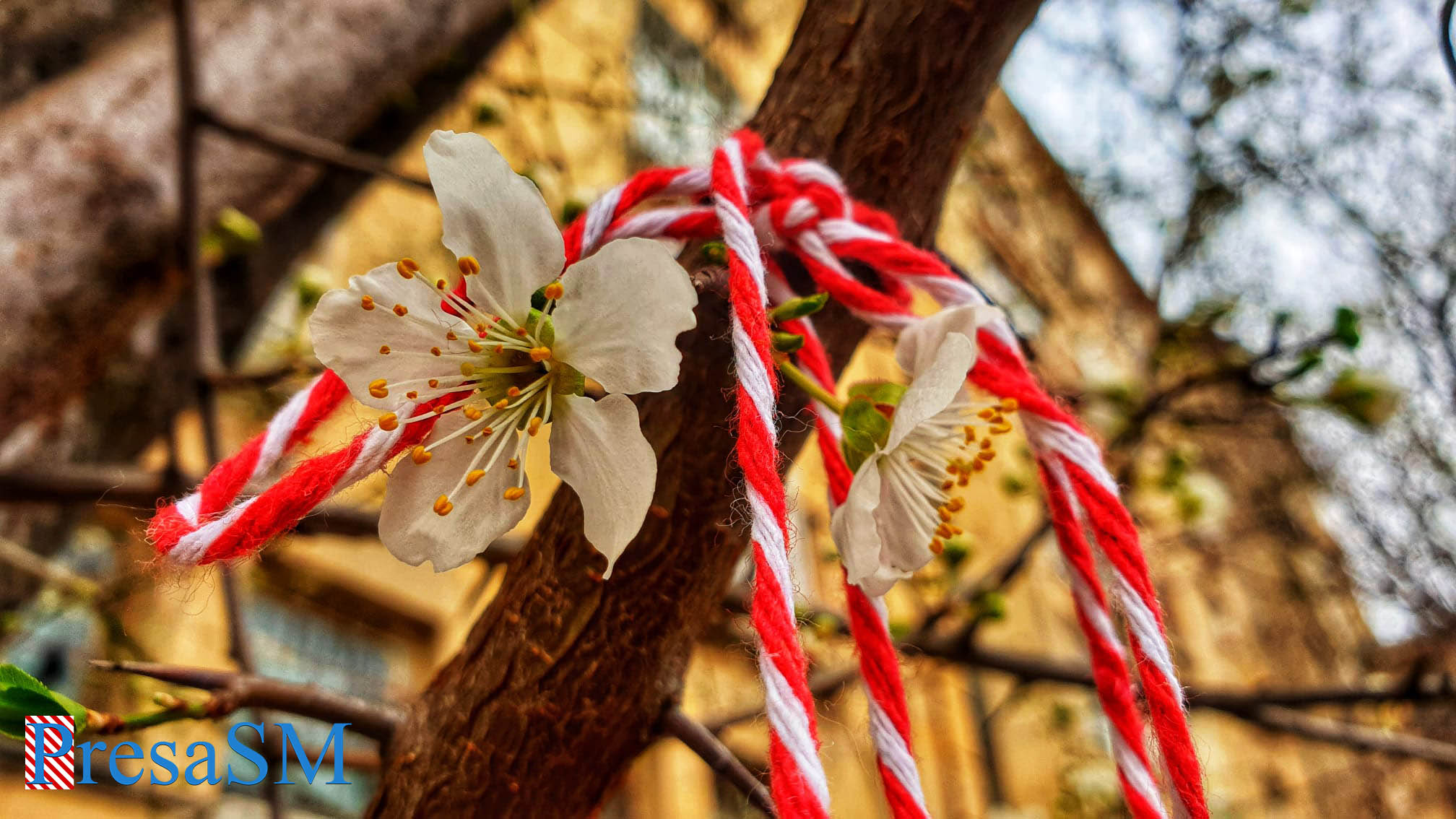 Cum va fi vremea la Satu Mare de 1 Martie. Ce vești au meteorologii pentru acest final de săptămână
