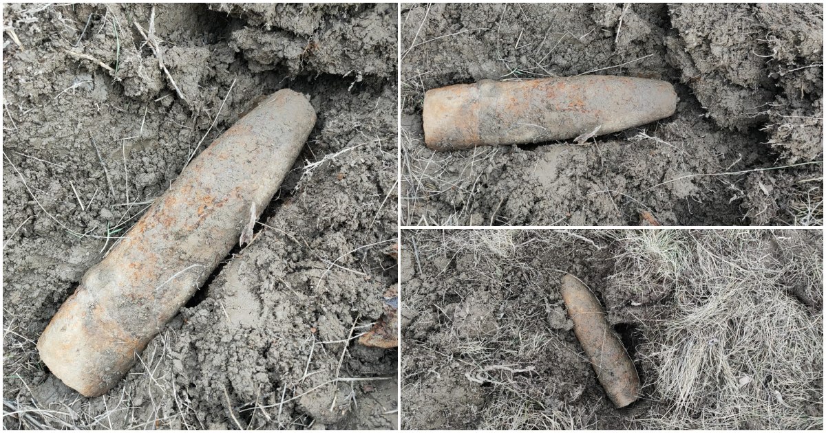 FOTO. Nu una, ci trei munții găsite la marginea unei păduri din Satu Mare. Au intervenit pompierii