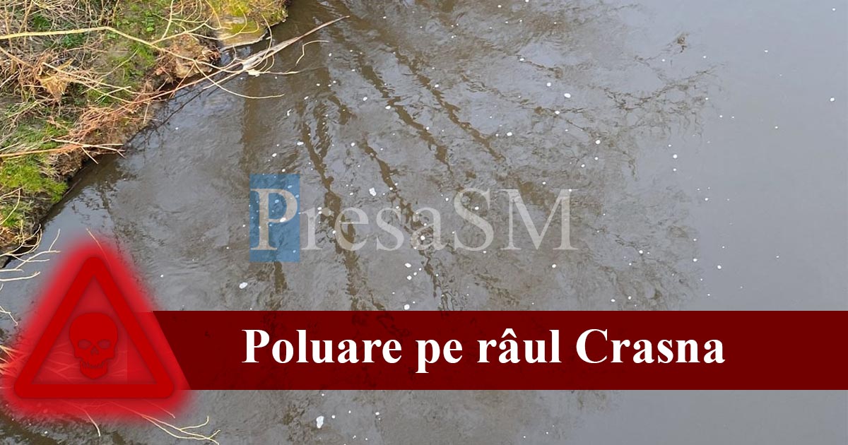FOTO/VIDEO. Poluare pe râul Crasna. Ce arată analizele și care ar putea fi cauza