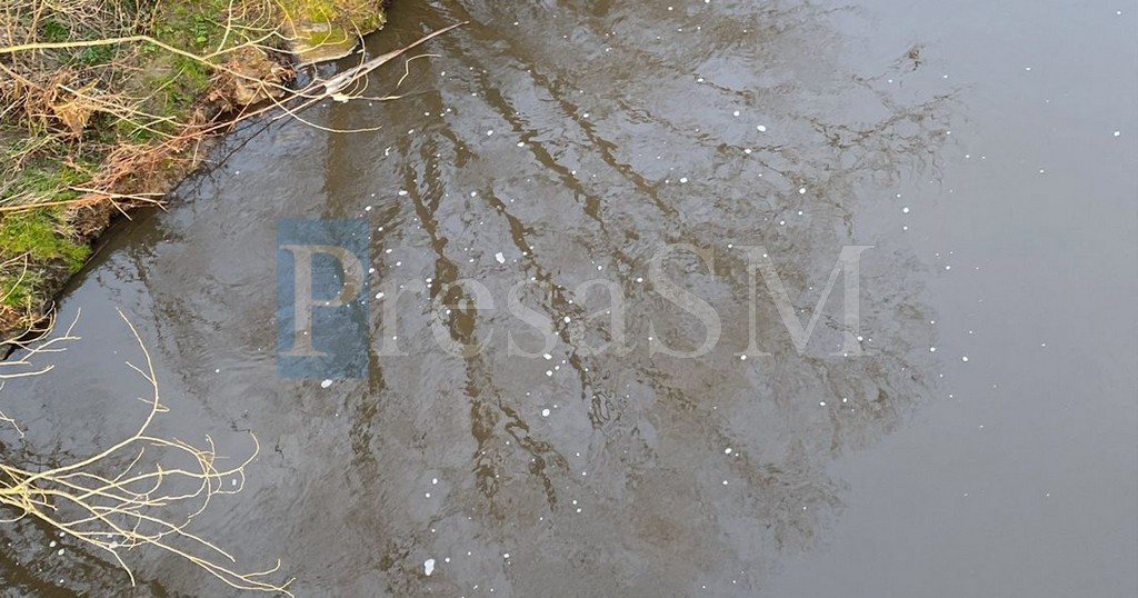 FOTO/VIDEO. Alertă pe râul Crasna, în județul Satu Mare. Se caută sursa de poluare