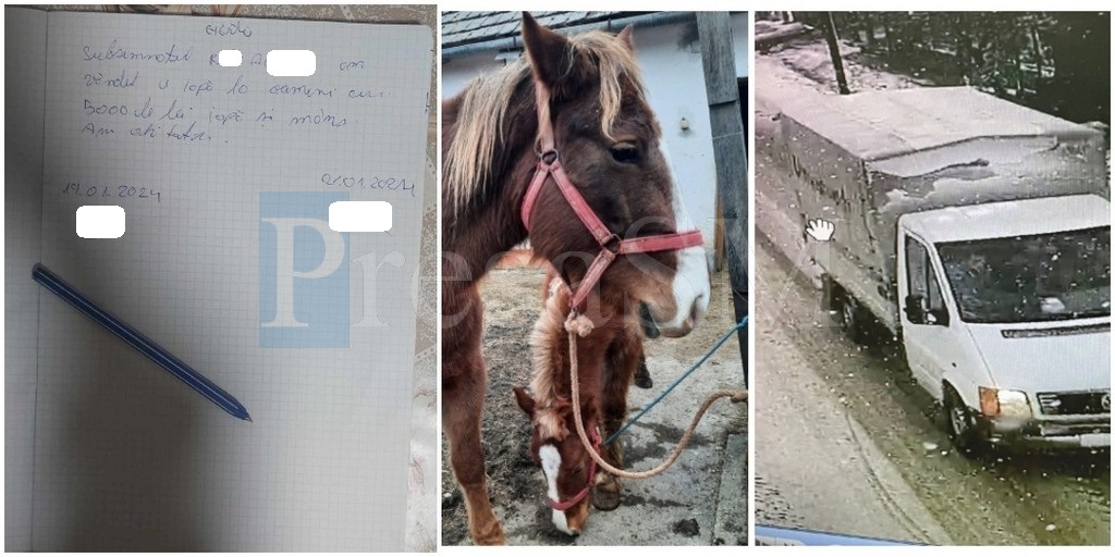 FOTO. Telenovela cailor declarați furați. ”I-am cumpărat cu acte în regulă, nu i-am furat”