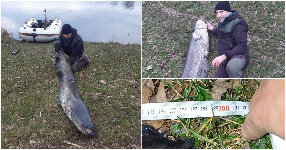 FOTO/VIDEO. Captură uriașă în județul Satu Mare. Somn de doi metri prins de un sătmărean