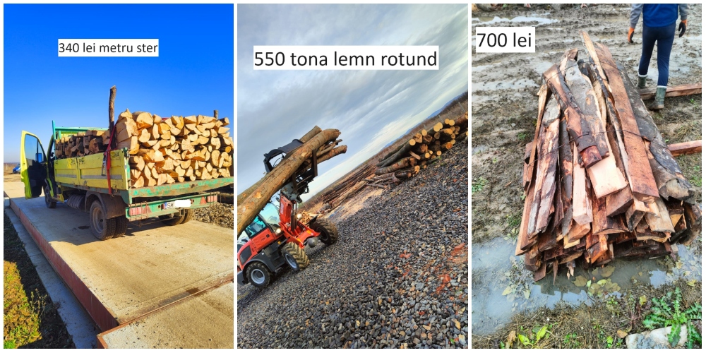 FOTO/VIDEO. Lemne premium de la Age Depozit Lemn Odoreu! Printre cele mai mici prețuri din județ