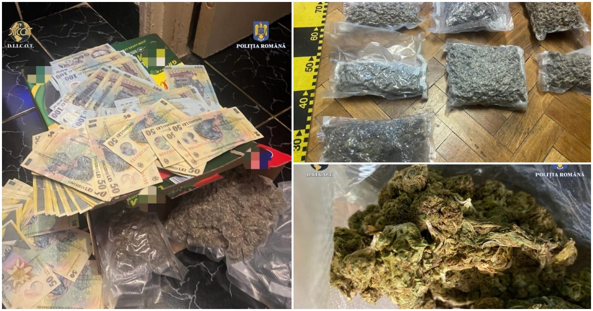 FOTO. Traficanți de droguri, prinși în flagrant. Primeau coletele din Spania. Procurorii sătmăreni au cerut arestarea