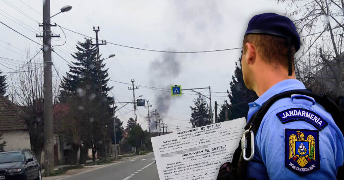 FOTO. Sătmăreanul s-a pus să își facă curat în propria ogradă. S-a ales cu zeci de mii de lei amendă.