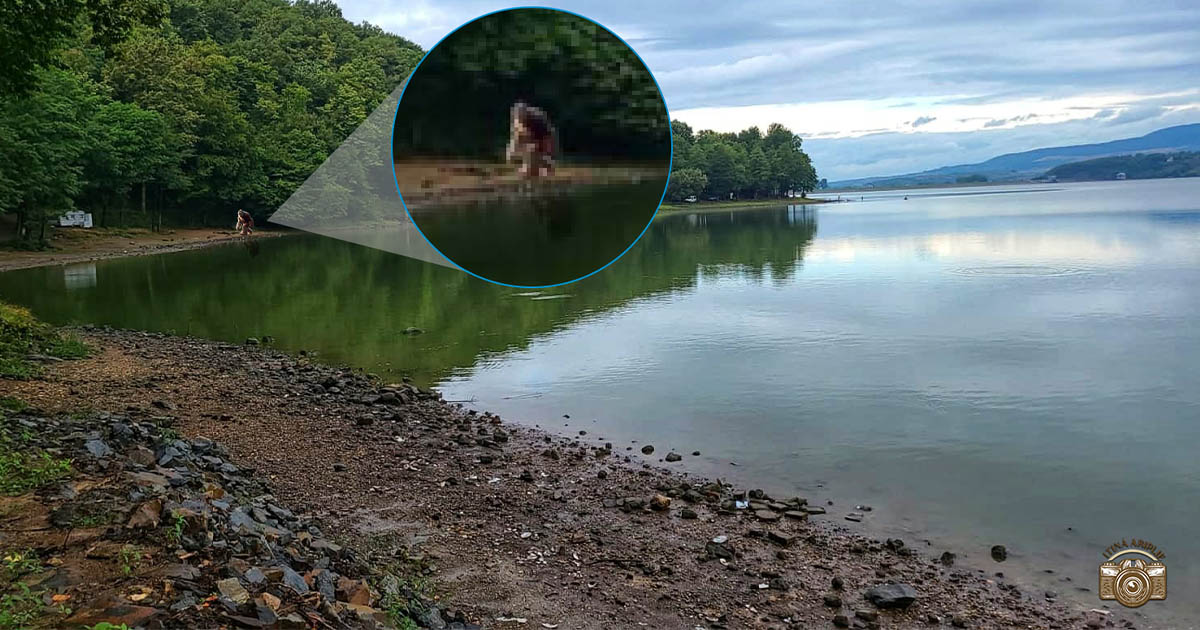 FOTO. Avem dovada! Omul pădurilor, fotografiat în județul Satu Mare