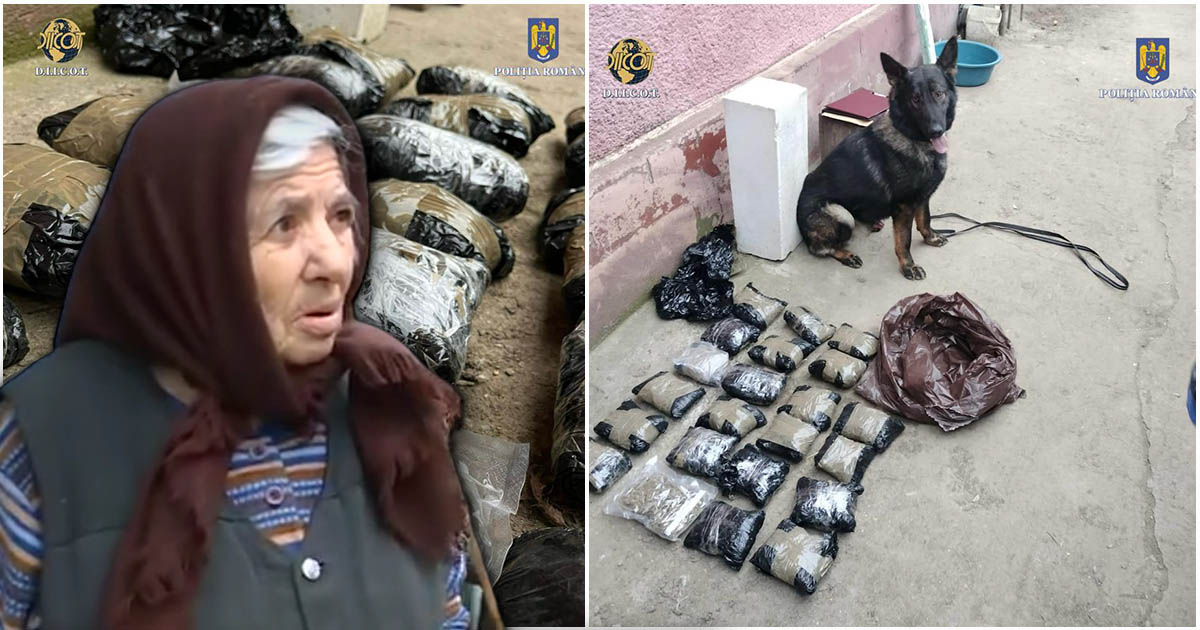 FOTO. Se întâmplă în România. Nepotul pușcăriaș și-a transformat bunica de 87 de ani în dealer de droguri. Vindea cannabis și cocaină