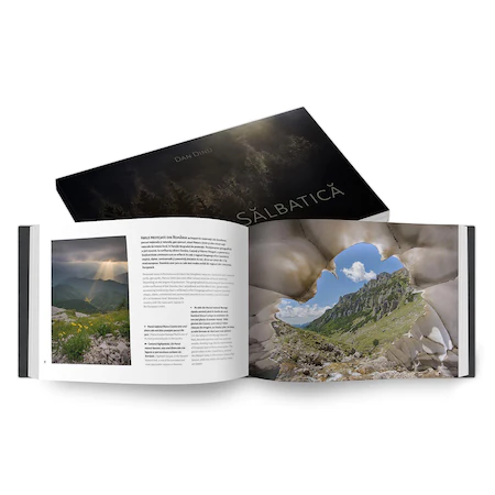 Cărți de citit sau de joc?