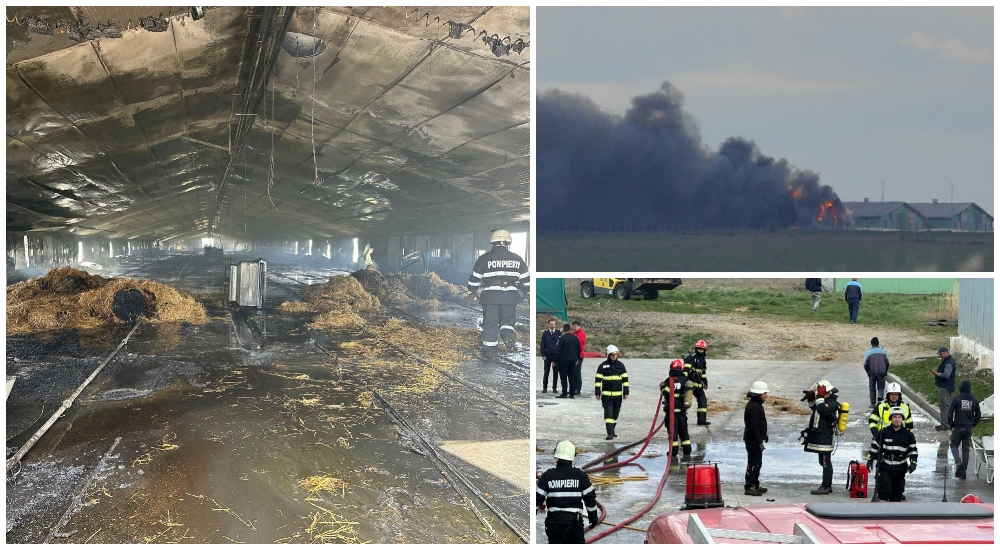 FOTO/VIDEO. Daună totală. De la ce a început incendiul de amploare la ferma de pui din județul Satu Mare