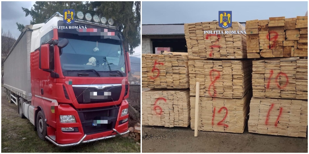 FOTO. Cum se fac combinațiile cu material lemnos. Satu Mare, pe harta unor ”băieți deștepți”