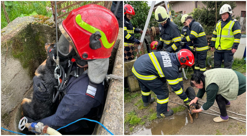 FOTO. Cățel salvat de la moarte. Pompierii sătmăreni au fost îngeri păzitori