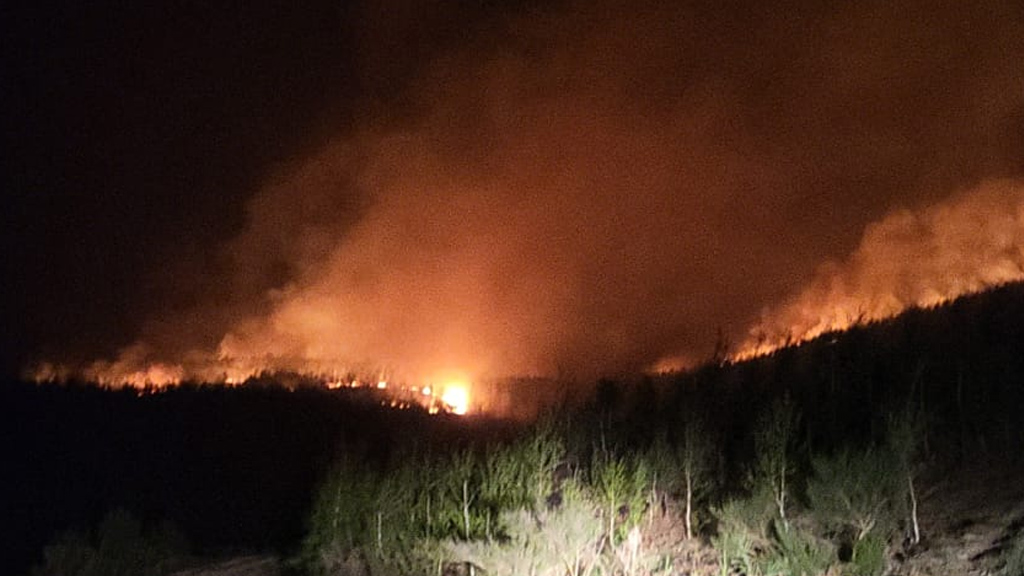 FOTO/VIDEO. Pompierii sătmăreni s-au luptat ore în șir cu un incendiu de vegetație. Vântul puternic le-a dat mari bătăi de cap