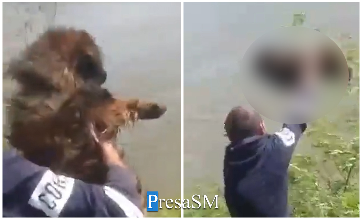 VIDEO. Distracție bolnavă! Un individ aruncă un câine în Someș, în județul Satu Mare