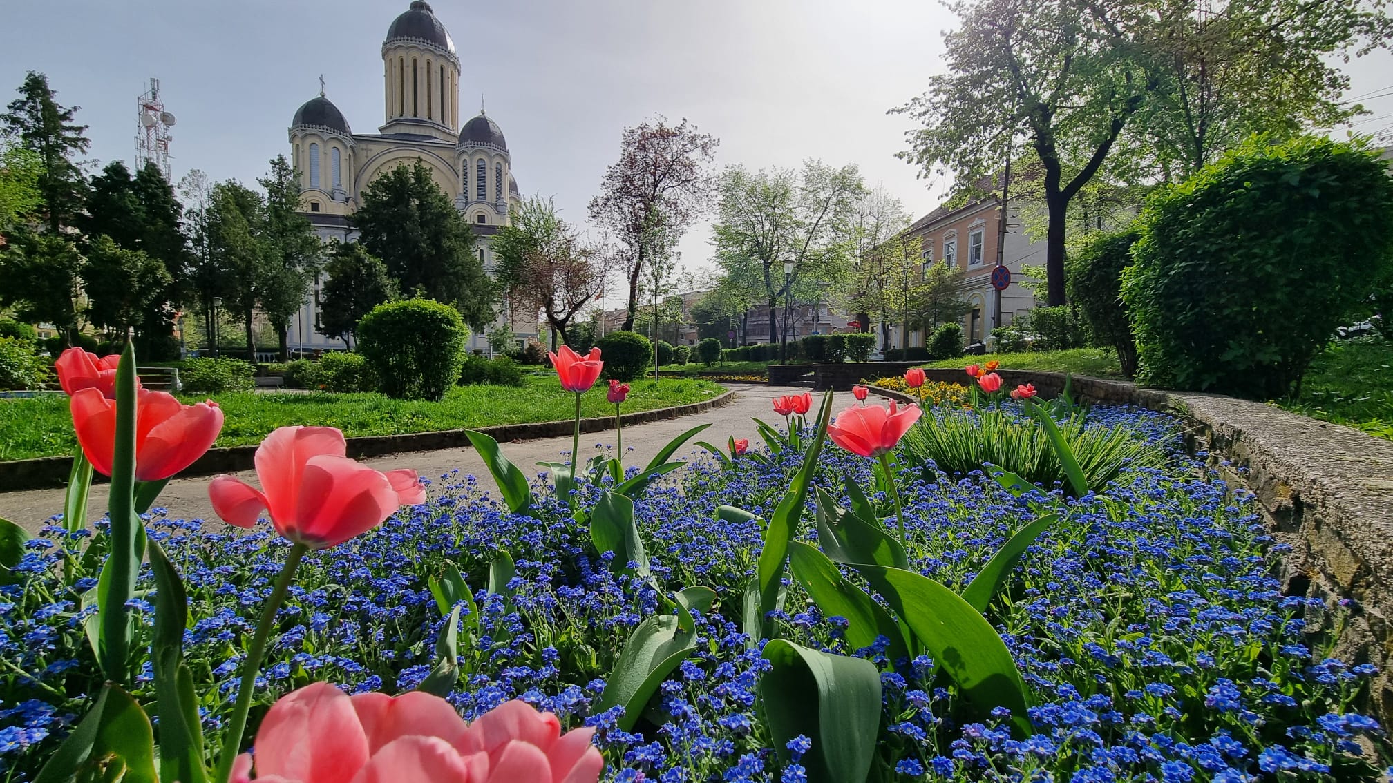 Un parc important din centrul municipiului Satu Mare, reabilitat din temelii. Milioane de euro vor fi investite