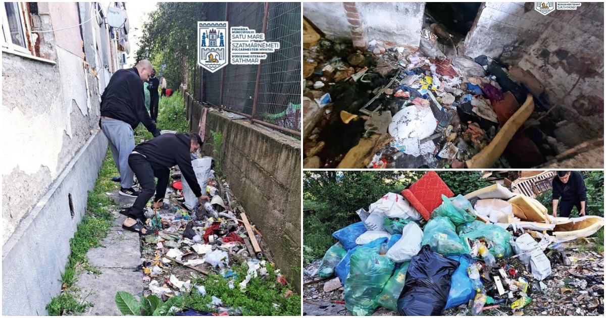 FOTO. Asistații social au făcut curat în municipiul Satu Mare. S-au strâns cinci camioane de gunoaie