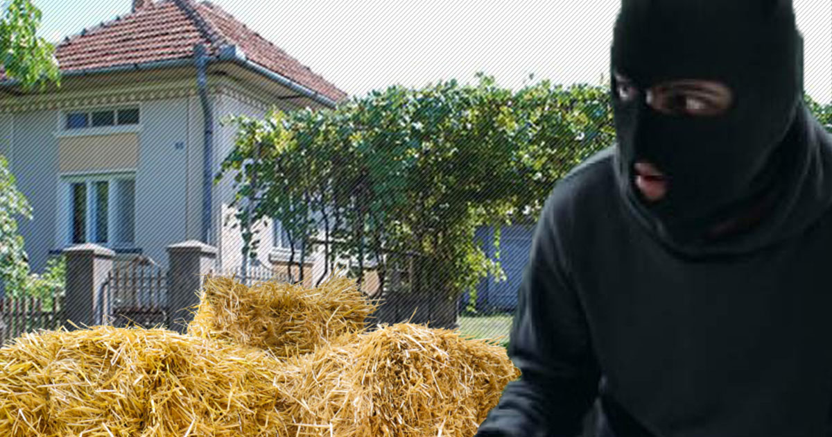 A pus ochii pe fânul sătmăreanului. I-a intrat în curte și l-a lăsat fără baloți