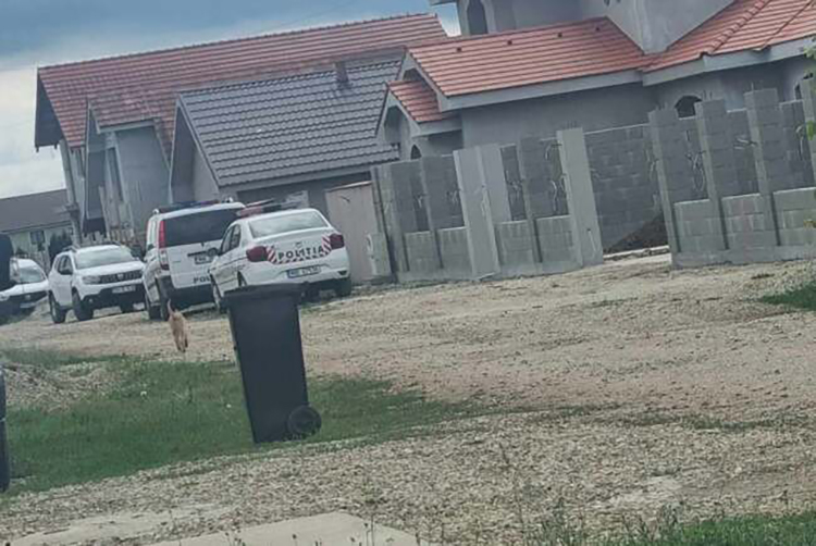 DRAMATIC. Un copil din Satu Mare a sunat la poliție să-i salveze mama