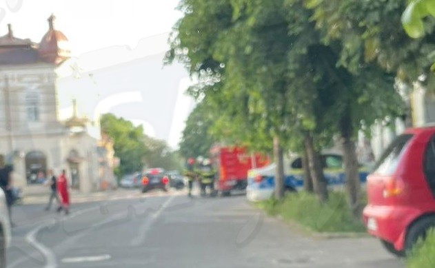 Scandal de coșmar în centrul municipiului Satu Mare. Fetele de 16 ani au fugit speriate și au aruncat cu scaune din cauza câinilor și amenințărilor