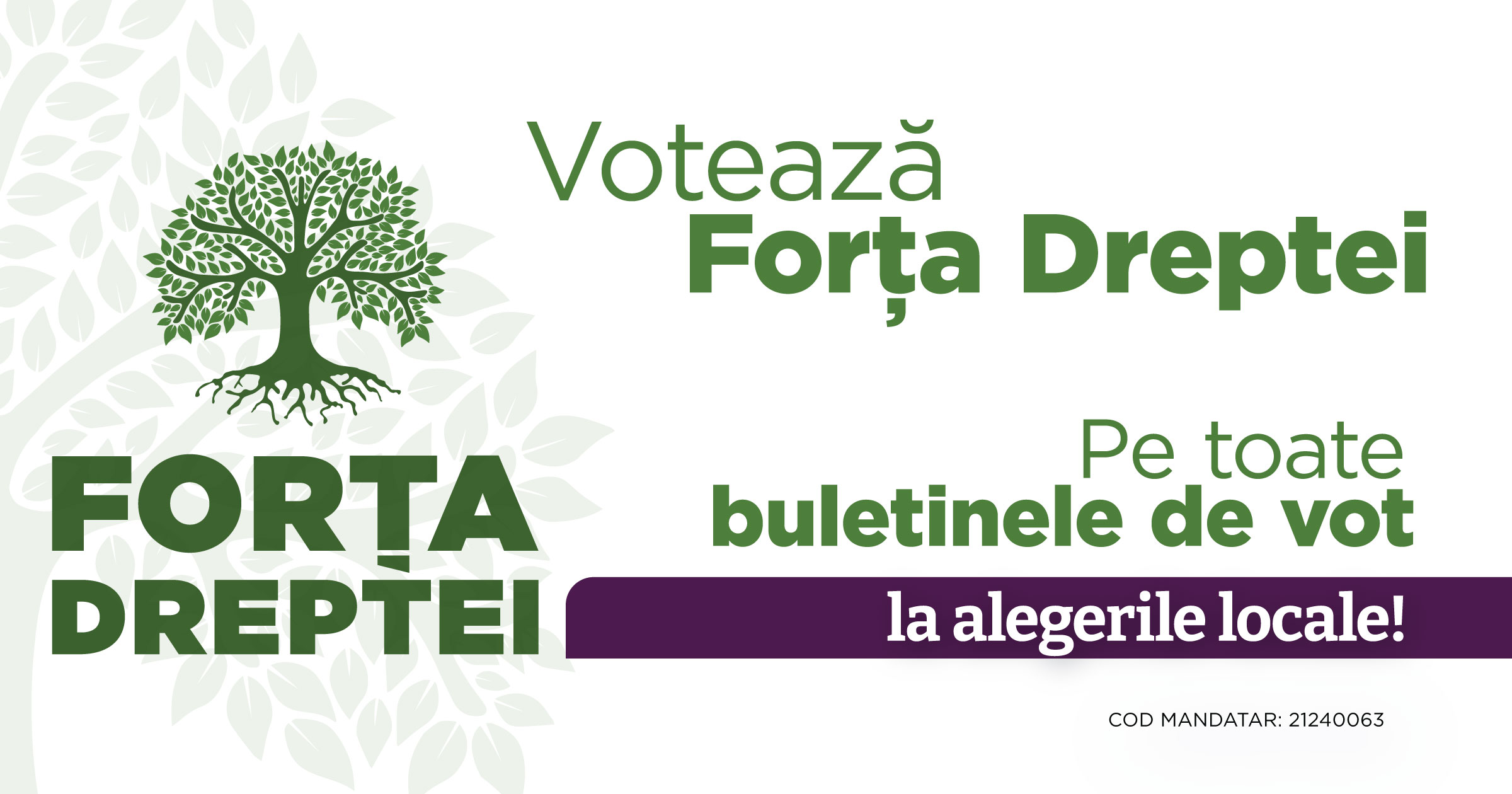 Aeroportul Satu Mare, bibeloul ce adună praf – vreau să îl exploatăm la maxim și să aducă venituri județului