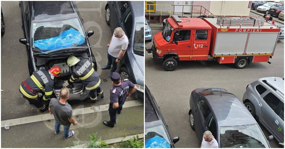 FOTO. Descarcerarea în centrul municipiului Satu Mare. Luptă contracronometru pentru salvarea unei pisici