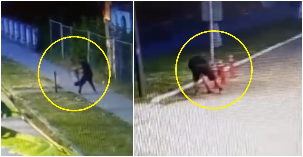 VIDEO. Un asistat social este bolnav să muncească, dar sănătos să distrugă bunurile publice din Carei