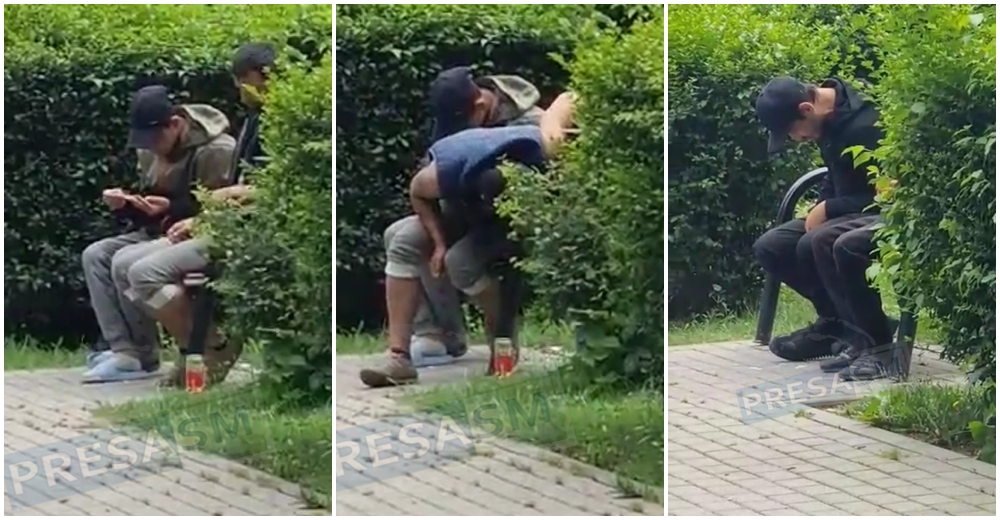 VIDEO. Nu se mai ascund! ”Rulează” la vedere, printre mame cu copii, în parcurile din Satu Mare