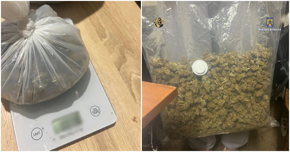 FOTO. Reținuți după ce au fost prinși în flagrant vânzând droguri. Mascații au făcut percheziții. Dealerii acționau și în Satu Mare