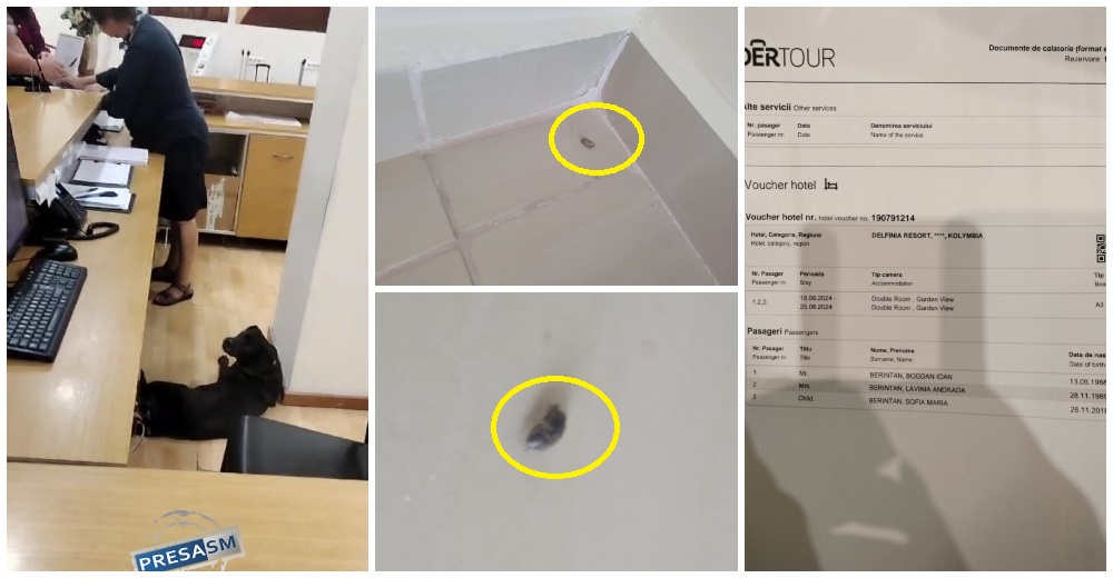 VIDEO. Două familii din Satu Mare susțin că au avut un șoc când au ajuns în Grecia, în vacanță