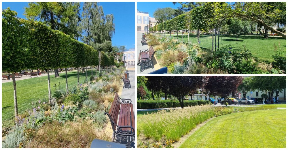 FOTO. Parcul central, bijuteria Sătmarului. Spațiul verde, îngrijit 24/24 de specialiștii Florisal