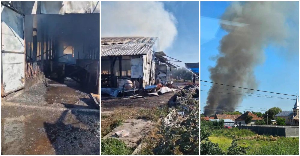 FOTO/VIDEO. Incendiu de amploare, cu victime, la o fermă de vaci din județul Satu Mare. Mobilizare a pompierilor