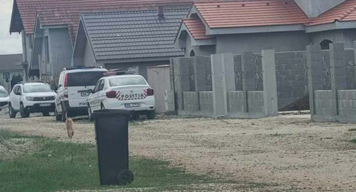 Fost polițist de frontieră, judecat pentru că a incendiat o mașină. Percheziții au fost și la Satu Mare