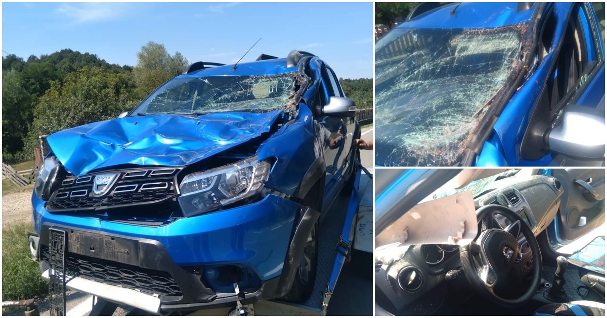 FOTO. O sătmăreancă s-a ales cu o sperietură zdravănă și mașina făcută praf. A lovit un cal fugit pe carosabil