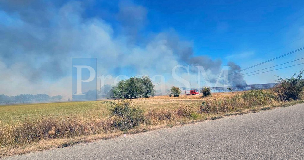 FOTO/VIDEO. Incendiu uriaș în județul Satu Mare,  intervin pompieri din mai multe localități