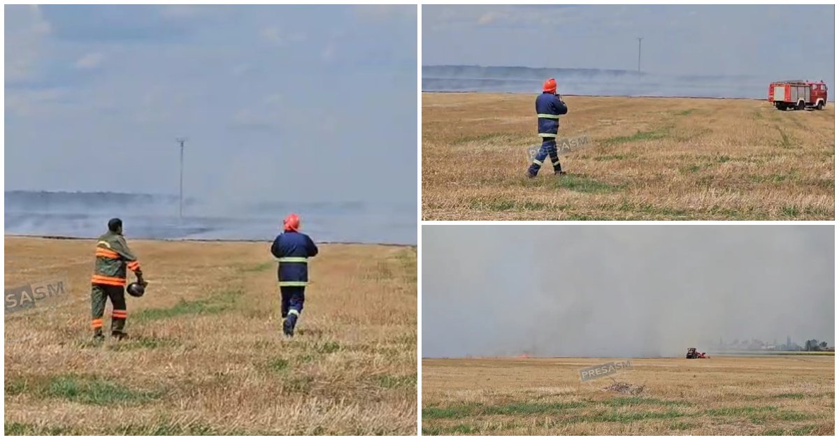 FOTO/VIDEO. Incendiu de amploare în Carei! Ard 50 de ha, fumul se vede de la mare distanță