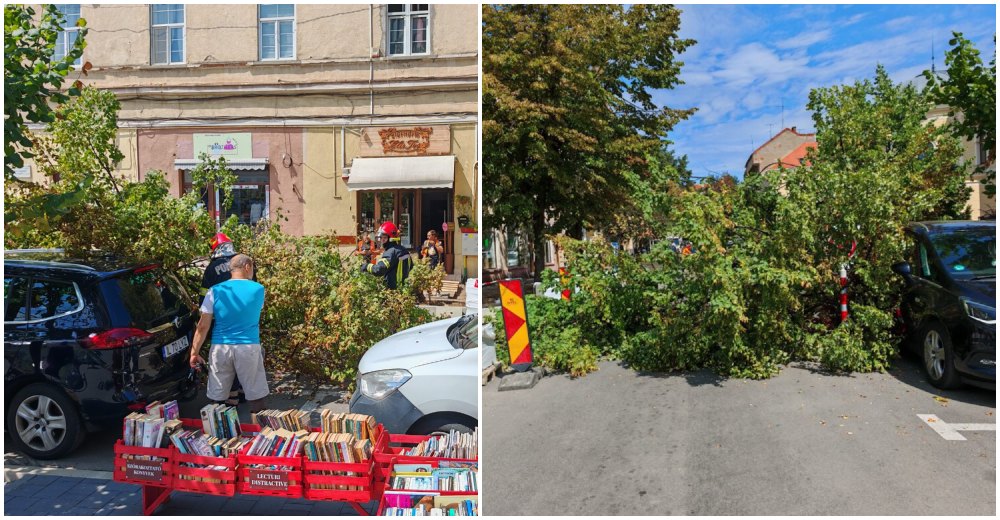FOTO. Copac căzut peste mașină! Strada Horea, blocată în centrul municipiului Satu Mare