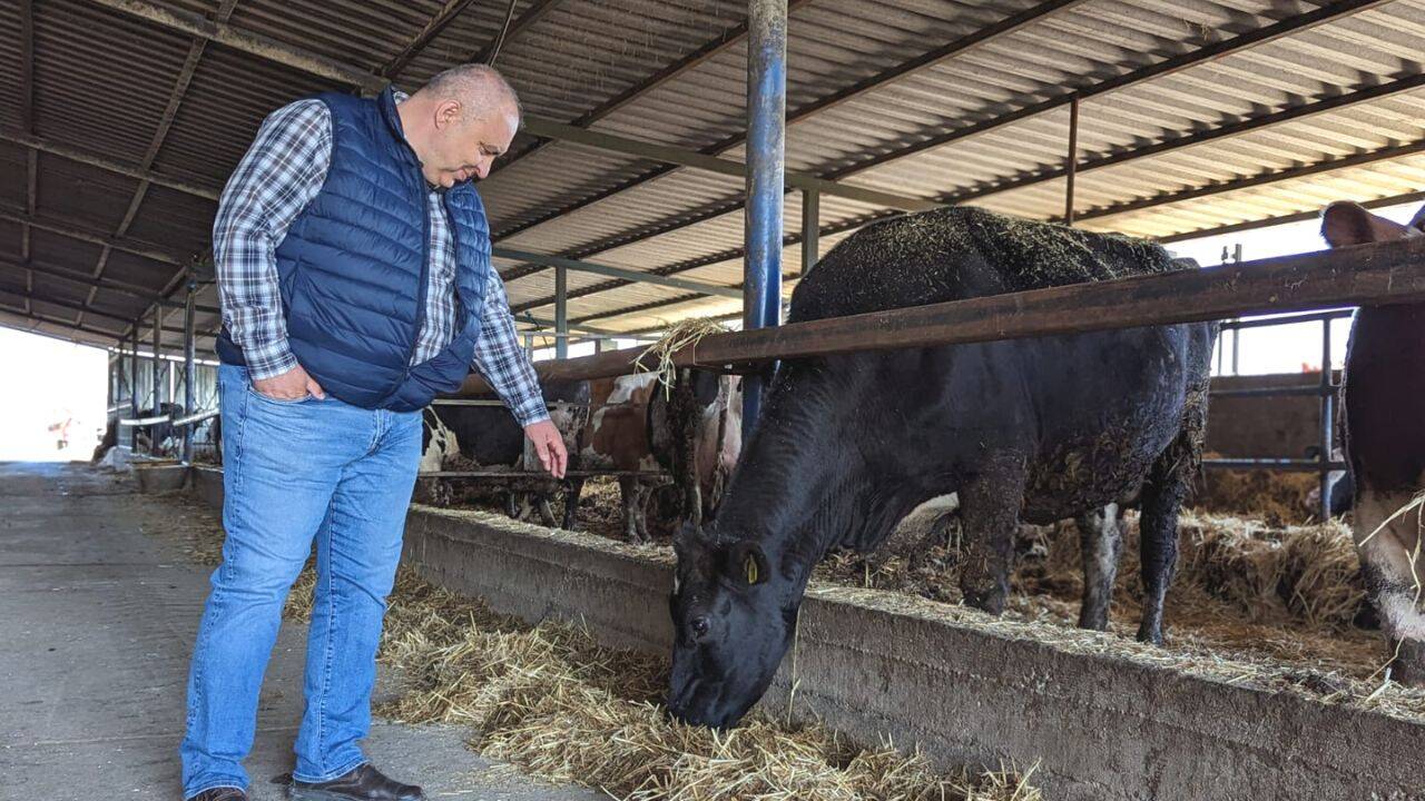 ”Mulși” la maxim, seceta le-a dat lovitura! Fermier din Satu Mare: ”Vom închide, se golește punga, ne pleacă oamenii”