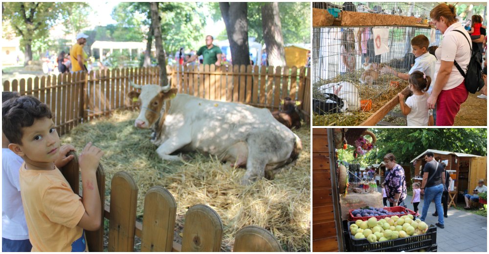 PROGRAM. Grădina Romei devine Grădina Zoologică pentru câteva zile. ACTIVITĂȚI PENTRU COPII