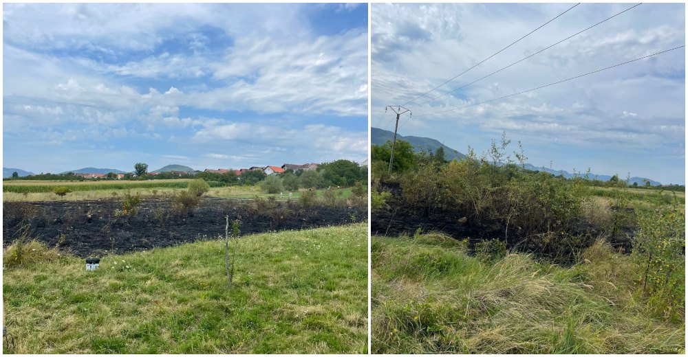 FOTO. Incendiu la marginea unei localități din județul Satu Mare. Avertismentul pompierilor