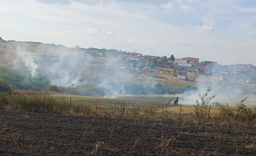 FOTO. Incendiu uriaș în județul Satu Mare. Flăcările s-au extins spre o localitate